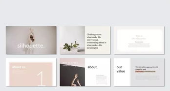 平面設計的全面審視 從PPT制作到專業素養的探討